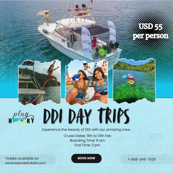 Play Hooky Tuesday DDI Tour