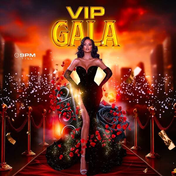 VIP Gala