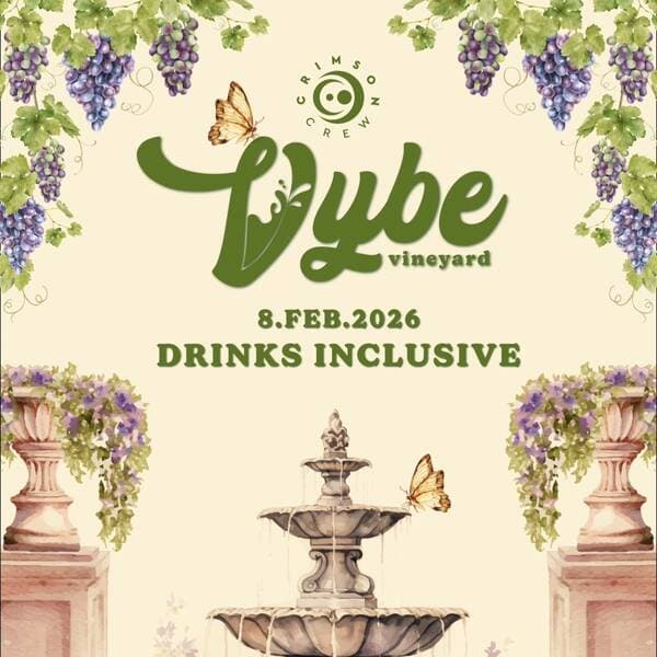 VYBE - The Vineyard